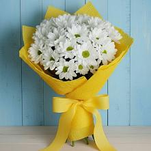 Букет цветов из:  Хризантемы в Мирном Архангельской области
