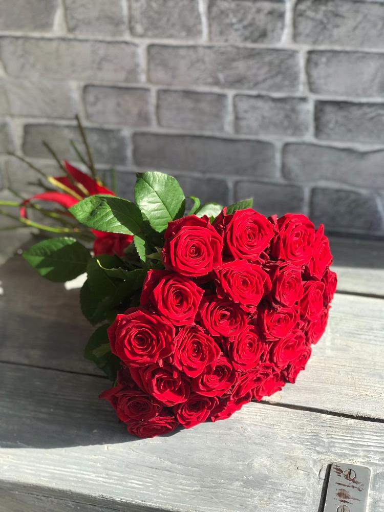 Букет Красные розы Фридом в Мирном Архангельской области