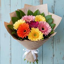 Букет цветов из:  Герберы в Мирном Архангельской области