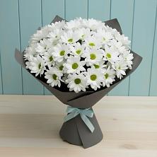 Букет цветов из:  Хризантемы в Мирном Архангельской области
