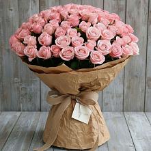 Букет 151 Роза Роуз #REPLACE_PRED# Мирном Архангельской области